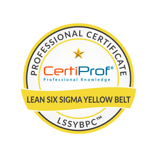 Logo Lean Six Sigma Yellow Belt