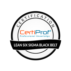 Logo Lean Six Sigma Black Belt